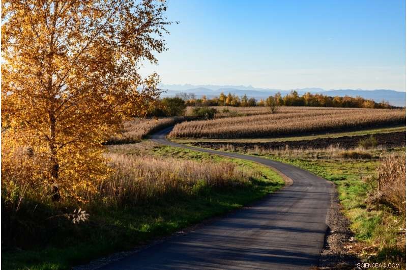 Roadside Ditches: Proven Nitrogen Removal Solutions