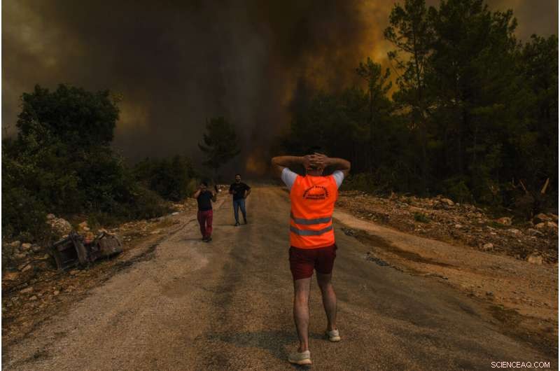 Record-Setting Summer Climate Extremes Shift to Wealthier Regions