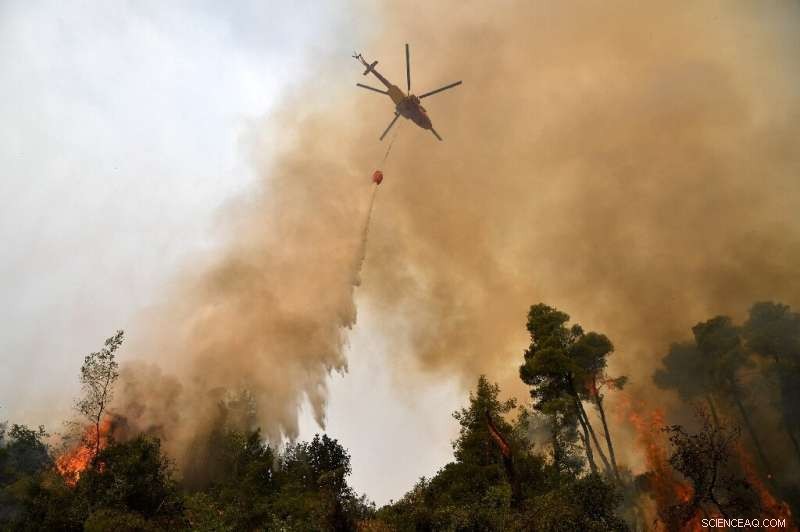 Greece in Crisis as Wildfires Sweep Islands