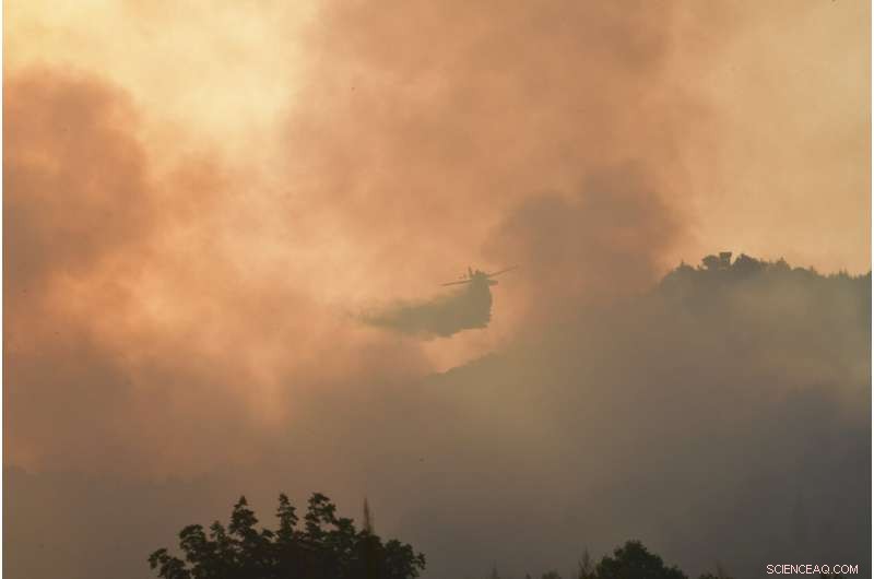Greece Faces Wildfire Crisis: Forest Fires Threaten Olympic Birthplace