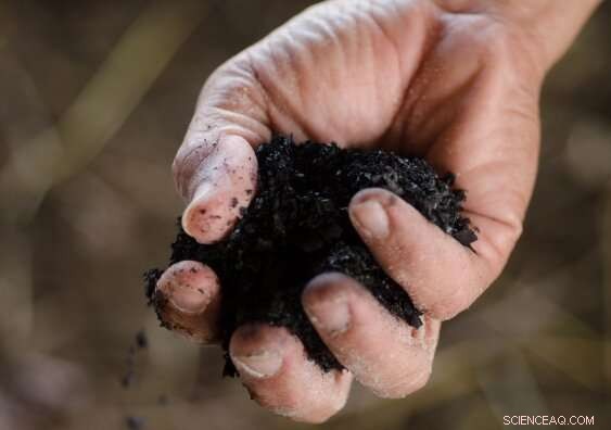 Biochar: Turning Waste into a Powerful Climate Change Mitigation Tool