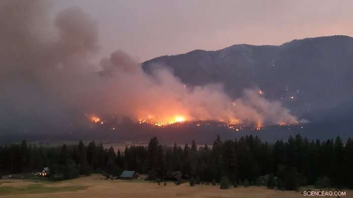 State of Science Report: Western Wildfires, Forests & Climate Change Insights