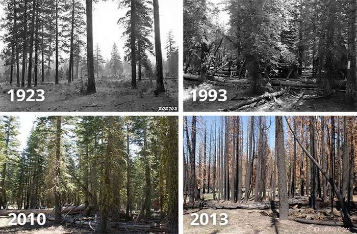 State of Science Report: Western Wildfires, Forests & Climate Change Insights