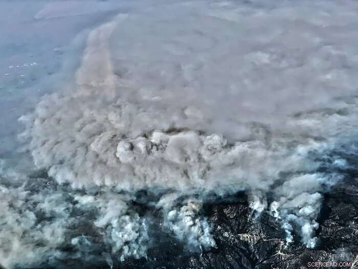 State of Science Report: Western Wildfires, Forests & Climate Change Insights