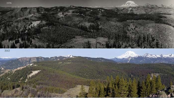 State of Science Report: Western Wildfires, Forests & Climate Change Insights