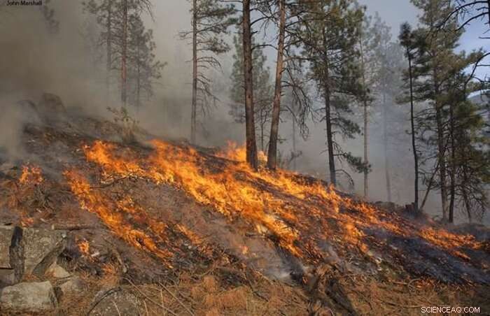 State of Science Report: Western Wildfires, Forests & Climate Change Insights