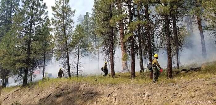 State of Science Report: Western Wildfires, Forests & Climate Change Insights