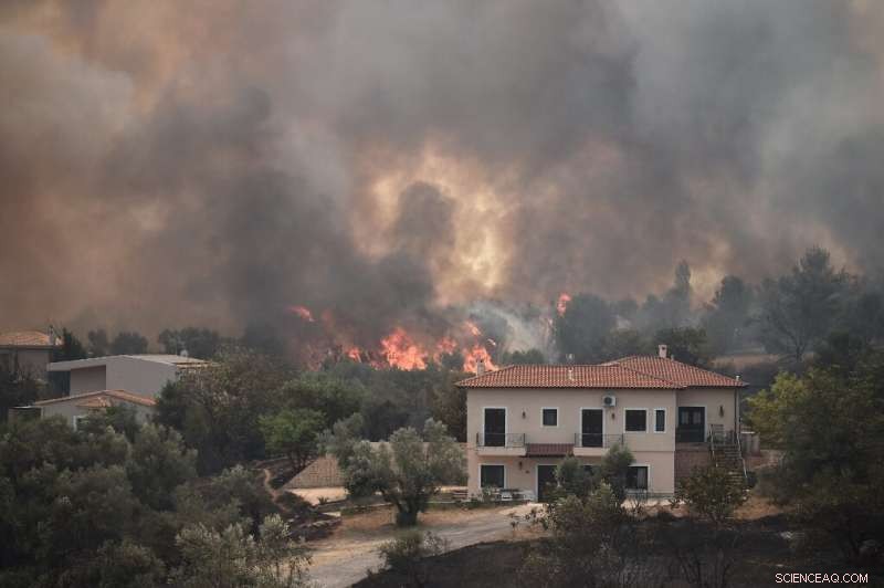 Greece, Turkey Grapple with Intense Fires Amid Record Heat