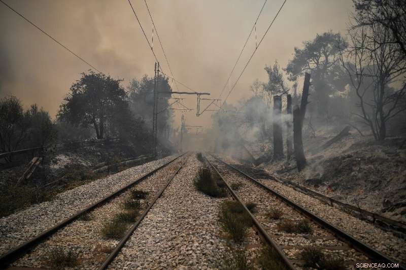 Greece, Turkey Grapple with Intense Fires Amid Record Heat