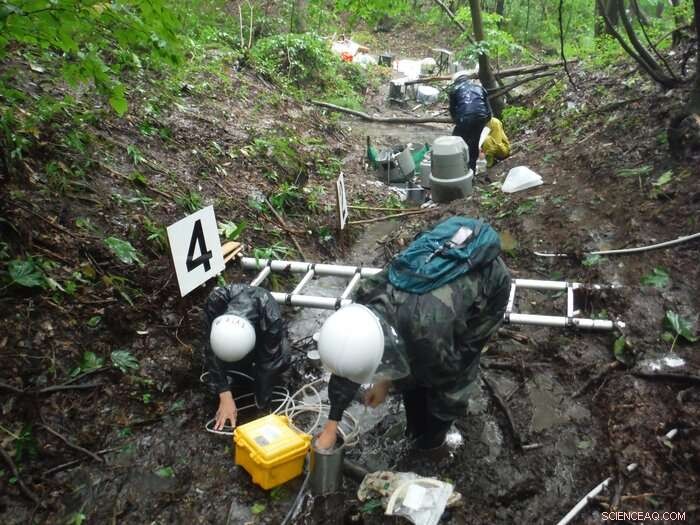 Heavy Rainfall Accelerates Radiocesium Leaching from Forest Litter – Insights from Shinshu University Hydrological Study