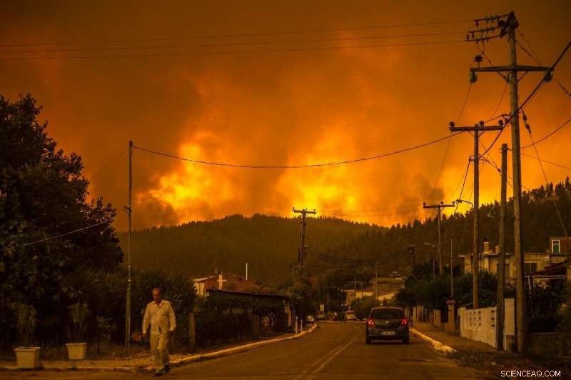 Evia Island Wildfires Force Mass Evacuation of Residents