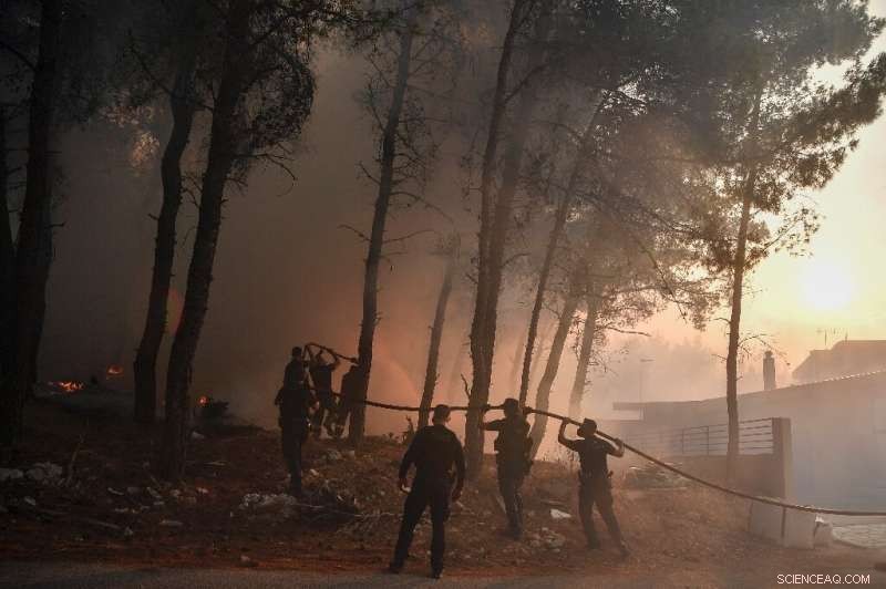 Evia Island Wildfires Force Mass Evacuation of Residents