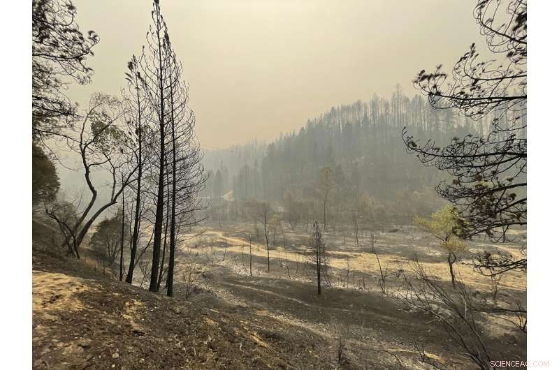 California Faces Intense Wildfire Threats Over Weekend