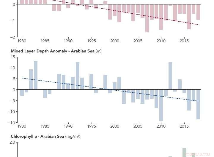 The Arabian Sea Ecosystem: How Himalayan Snow and Climate Shifts Are Impacting Marine Life