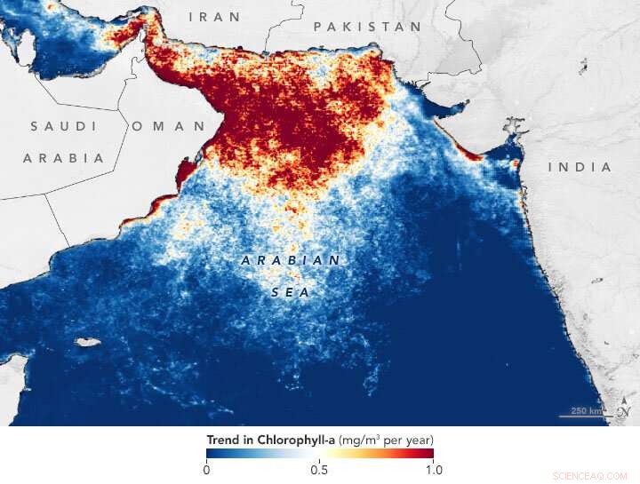 The Arabian Sea Ecosystem: How Himalayan Snow and Climate Shifts Are Impacting Marine Life