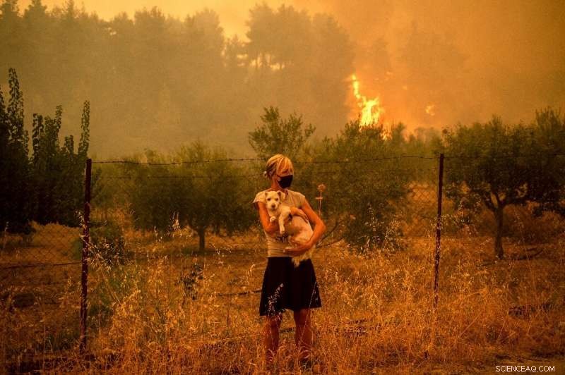 Evia Firefighters Battle Wildfire Threat to Preserve Forests