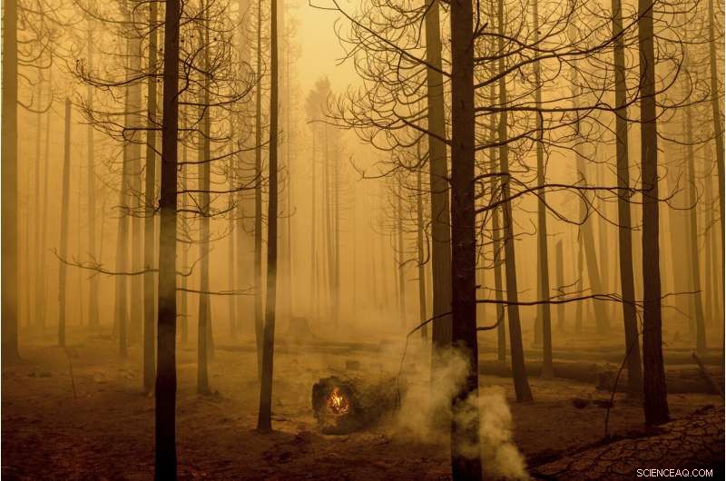 Northern California Faces Return of Fire-Prone Weather Conditions