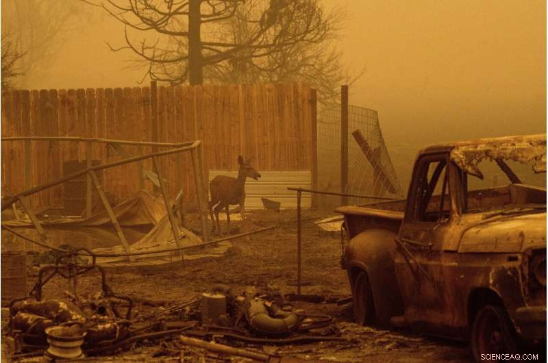 Northern California Faces Return of Fire-Prone Weather Conditions