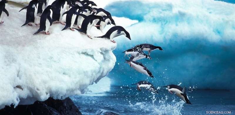 Irreversible Sea Level Rise and Glacier Melt: Urgent Actions Needed to Slow the Climate Crisis