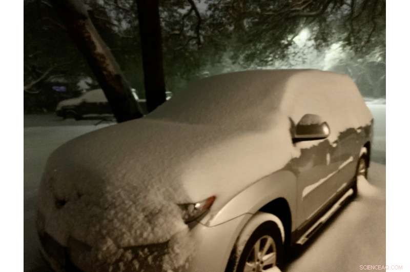 Record-Breaking Heat and Cold Extremes Share Common Underlying Mechanisms