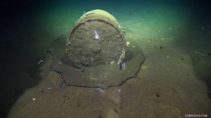 New Methane Seep and Whale Fall Discovered on Los Angeles Seafloor Near Historic DDT Dump