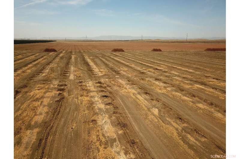 Historic Drought Endangers California Farms Critical to U.S. Food Supply
