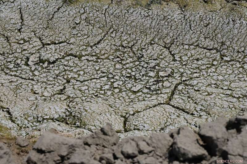 Historic Drought Endangers California Farms Critical to U.S. Food Supply