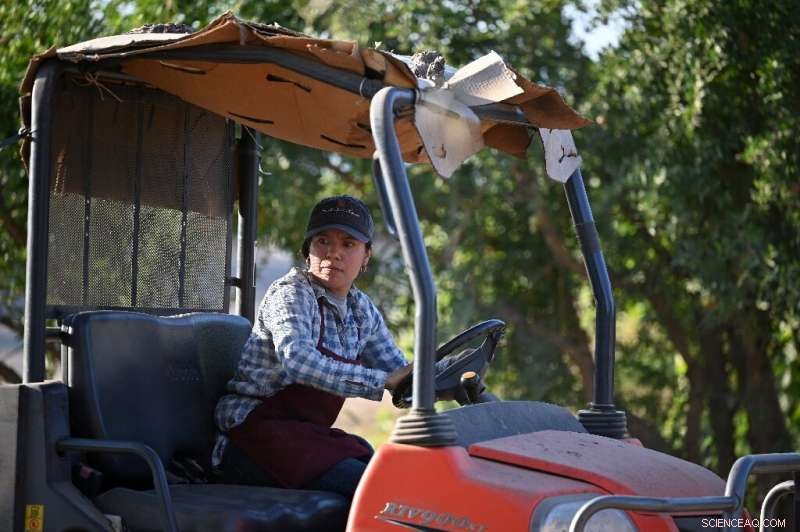 Historic Drought Endangers California Farms Critical to U.S. Food Supply