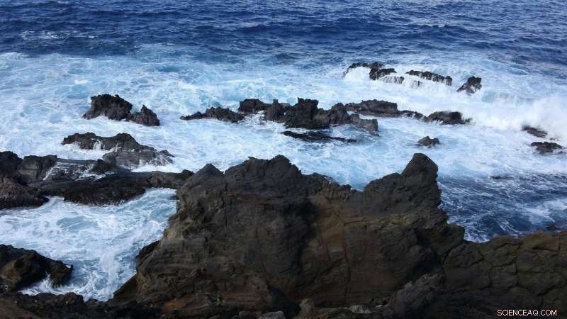 Drone Technology Identifies Freshwater Sources in the Sea – A Breakthrough for Researchers