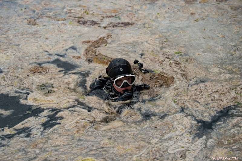 Turkey Grapples with Climate‑Change‑Driven Disasters