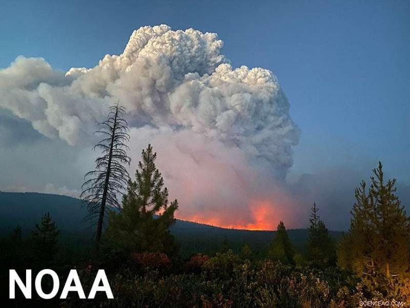 July Brings Record Heat, Drought, and Devastating Wildfires Across the U.S. West