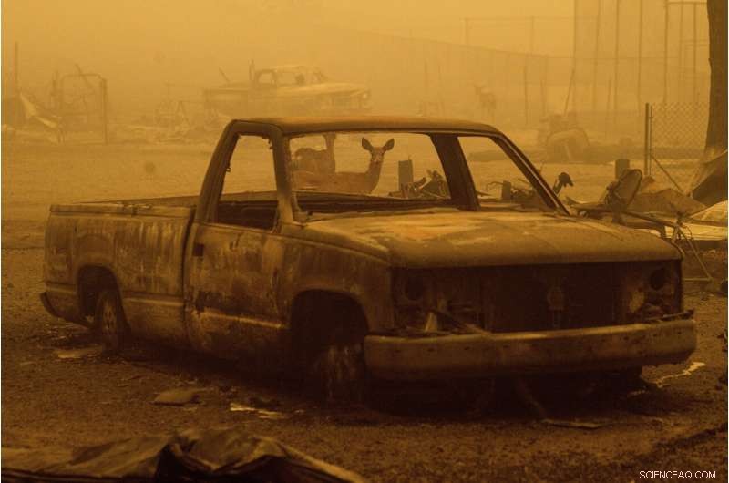 Aircraft Deploy to Battle California Wildfire as Smoke Dissipates