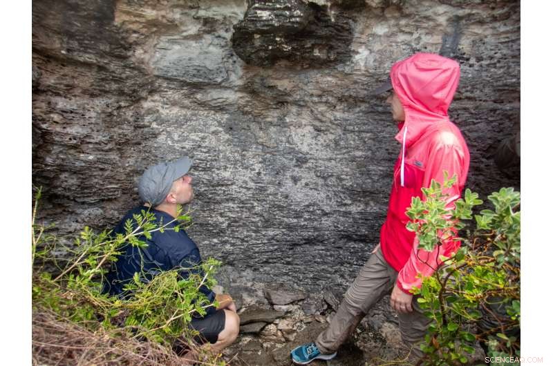 Study Suggests Historic Sea Levels Were Lower Than Previously Believed