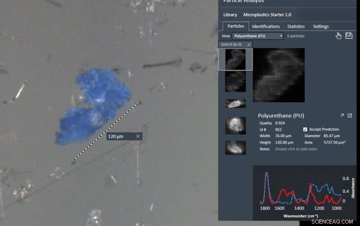 Microplastics: Silent Carriers of Toxic Metals