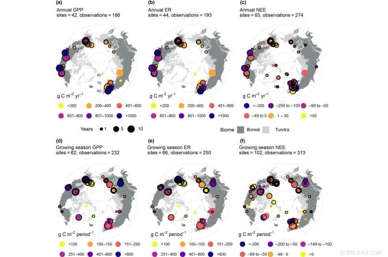 Scientists Deploy Innovative Techniques to Track Carbon Dynamics in Northern Terrestrial Ecosystems