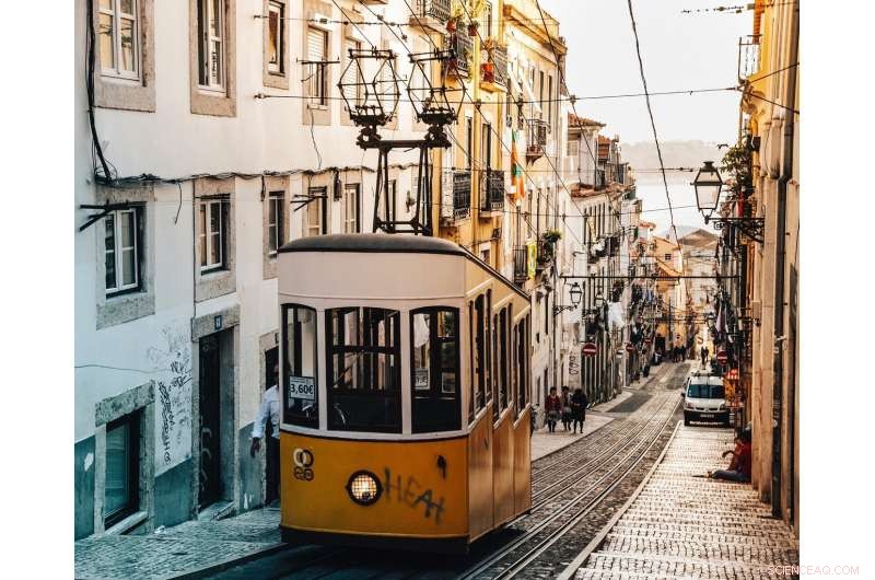 Urban Experimentation Drives Sustainable Policy Innovation