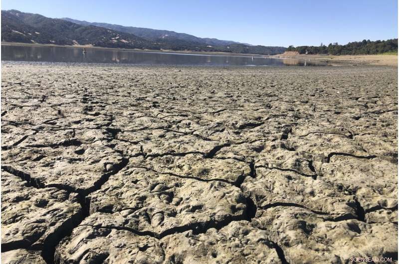 Mendocino Urges Visitors to Conserve Water Amid Drought