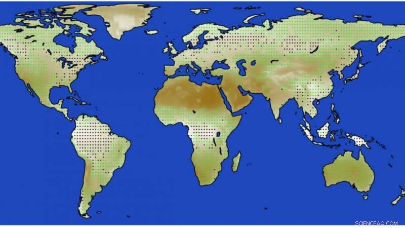 Planting Forests Could Cool the Planet More Than Previously Thought