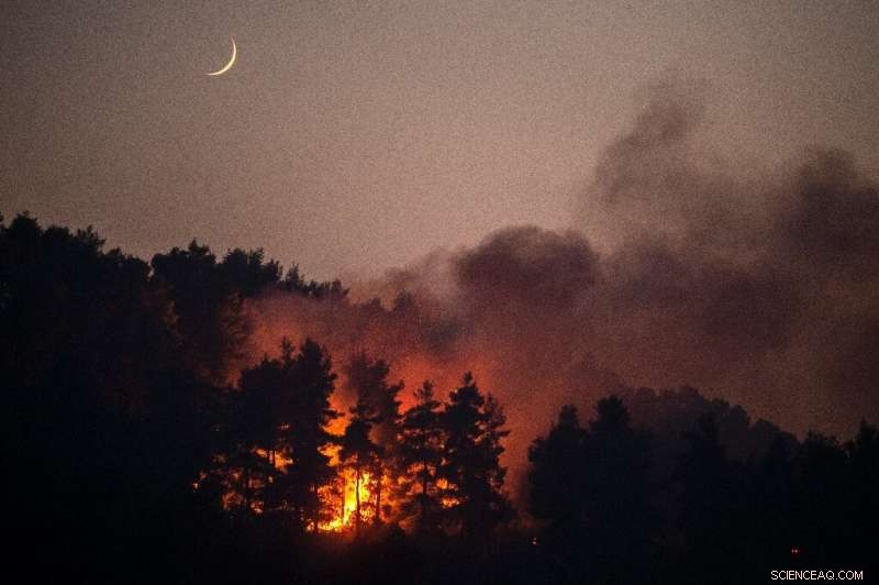 Nearly 100,000 Hectares of Greek Forests Destroyed by Record Wildfires