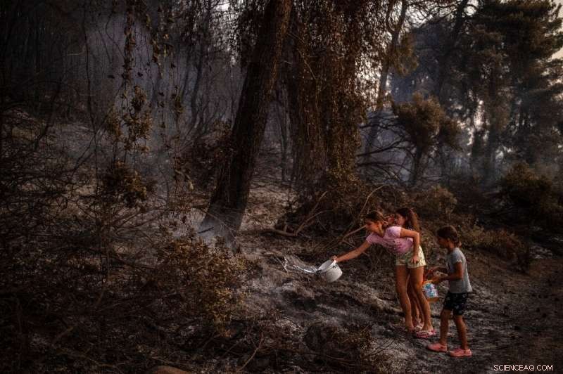 Nearly 100,000 Hectares of Greek Forests Destroyed by Record Wildfires