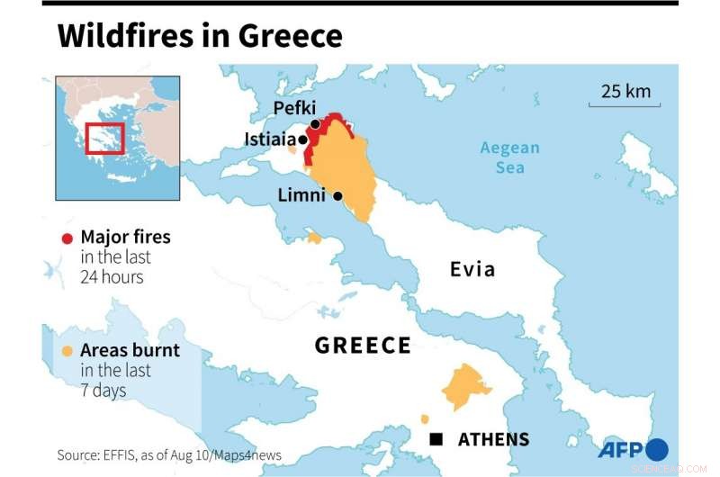 Nearly 100,000 Hectares of Greek Forests Destroyed by Record Wildfires