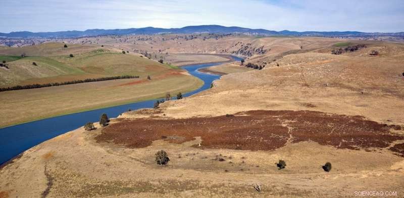 Murrumbidgee River Levels Decline 30% Since 1990s, Forecasts Warn of Worsening Water Stress