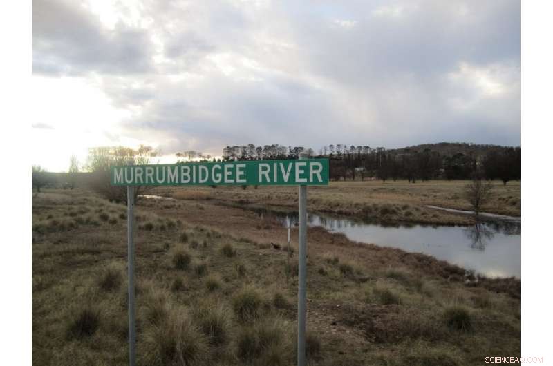 Murrumbidgee River Levels Decline 30% Since 1990s, Forecasts Warn of Worsening Water Stress