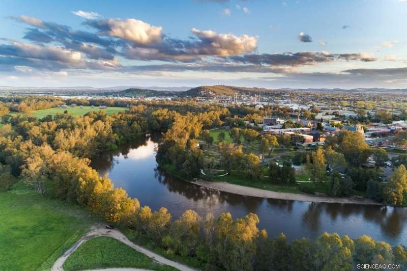 Murrumbidgee River Levels Decline 30% Since 1990s, Forecasts Warn of Worsening Water Stress
