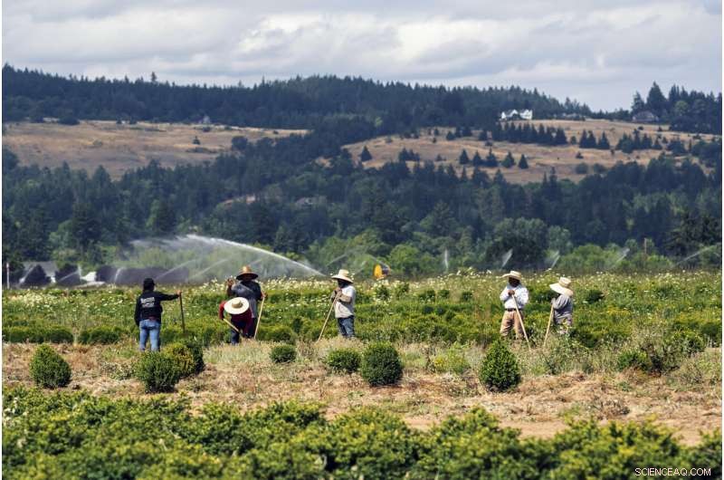 Pacific Northwest Heat Wave Drives Residents to Cooling Centers