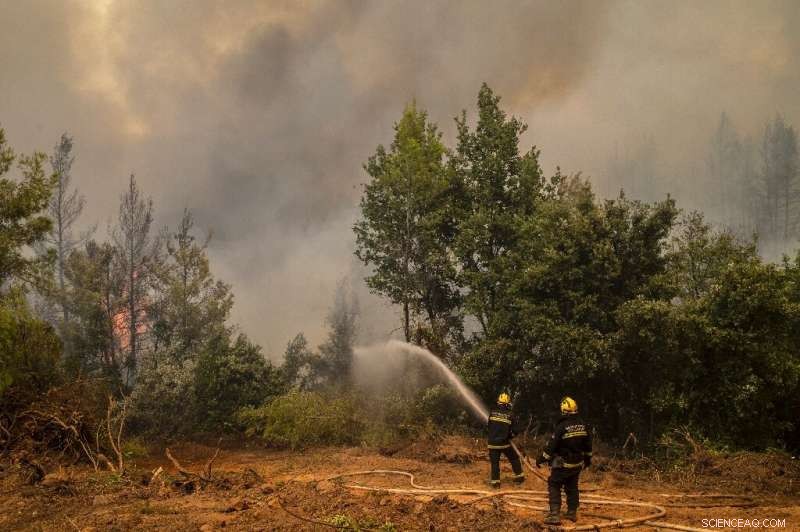 Greece Faces Ecological Crisis as Wildfires Ravage Over 100,000 Hectares