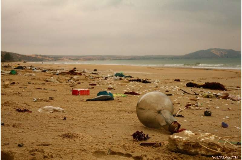 Space‑borne Surveillance Reveals Ocean Plastic Pollution