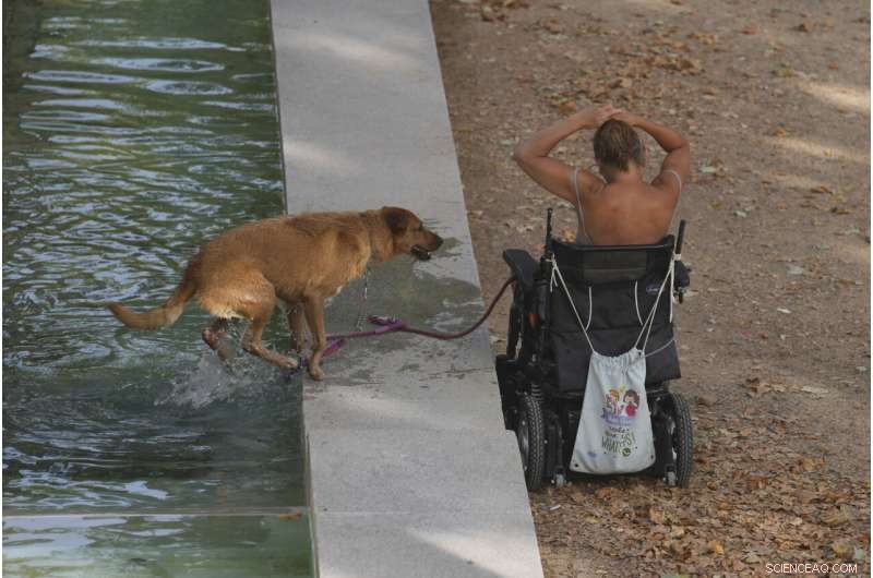 Heatwave Sweeps Southern Europe and North Africa