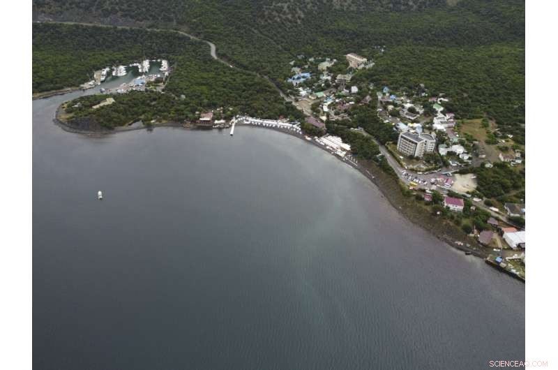 Russia Launches Investigation into Major Black Sea Oil Spill