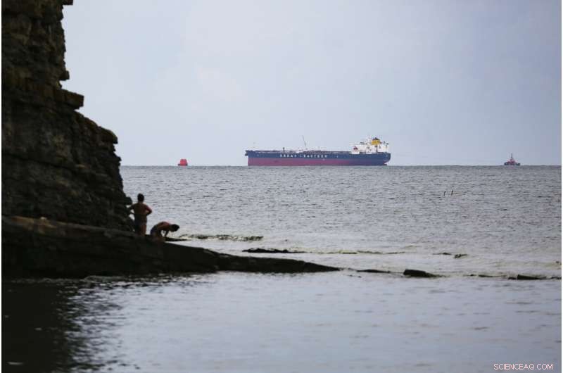 Russia Launches Investigation into Major Black Sea Oil Spill